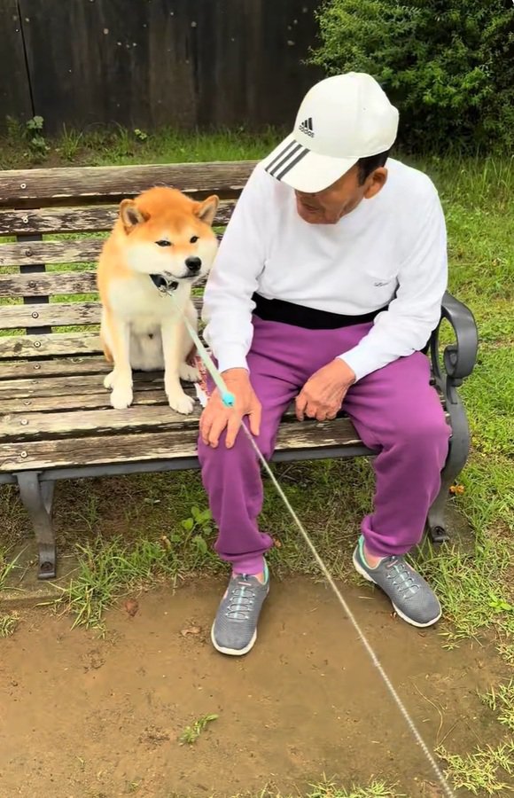 動かないコタロウくん