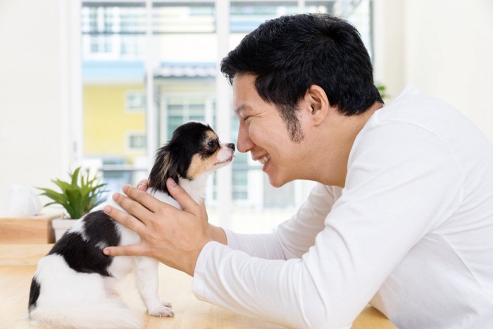 チワワと笑顔の男性