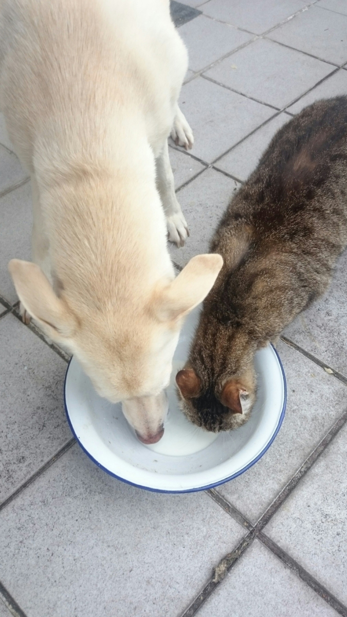 水を飲む