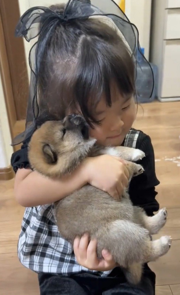 子犬に頬を寄せる女の子