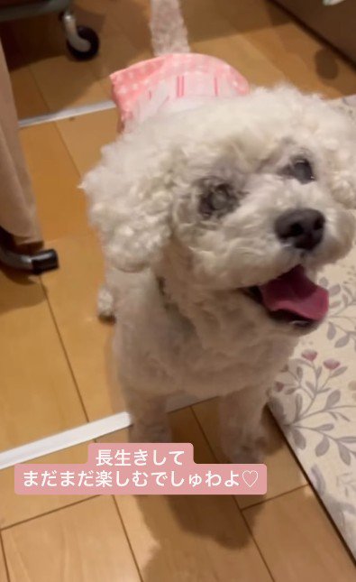 素敵なシニアライフを送れそう!