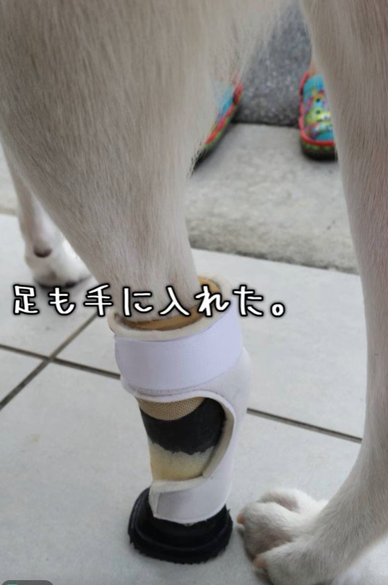 義足も装着できるように！