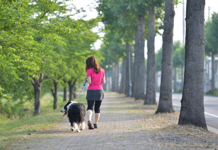 散歩する犬と女性