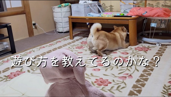 机の下に入ったぬいぐるみを咥える犬