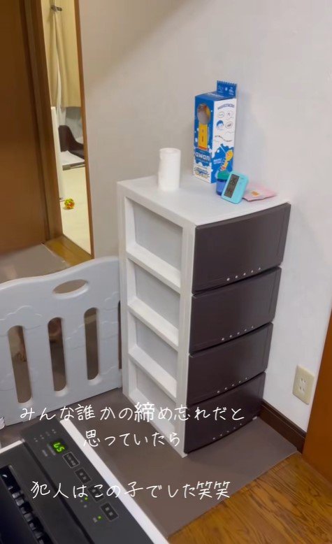 収納棚を開けて脱走するぽぽちゃん2