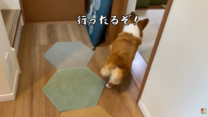 急いでリビングに戻ります