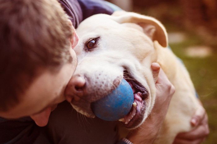 ボールをくわえて男性を見る犬