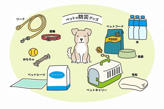 イラスト、犬の防災グッズ