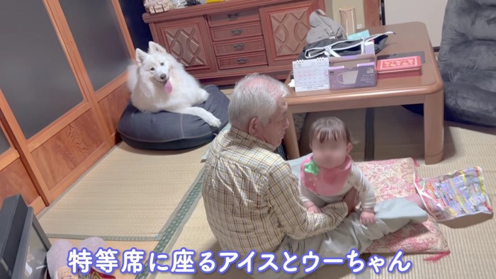 おじいちゃんと遊んでる…