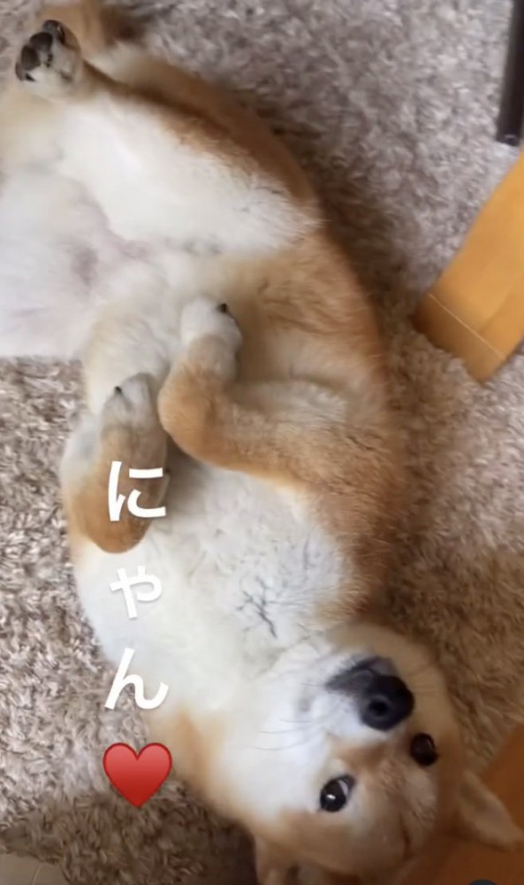 これでもダメ？