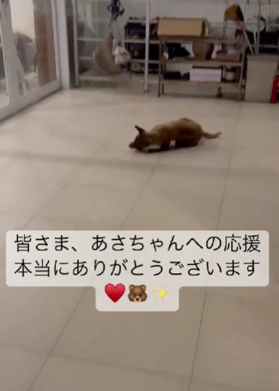 転んでしまっても平気！