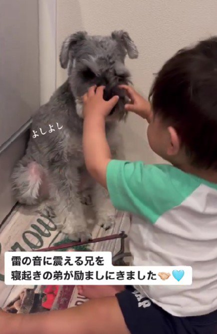 小さな息子さんが登場！