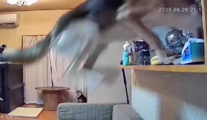 またカウンターへ！！