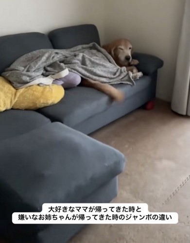 ママが帰って来た!