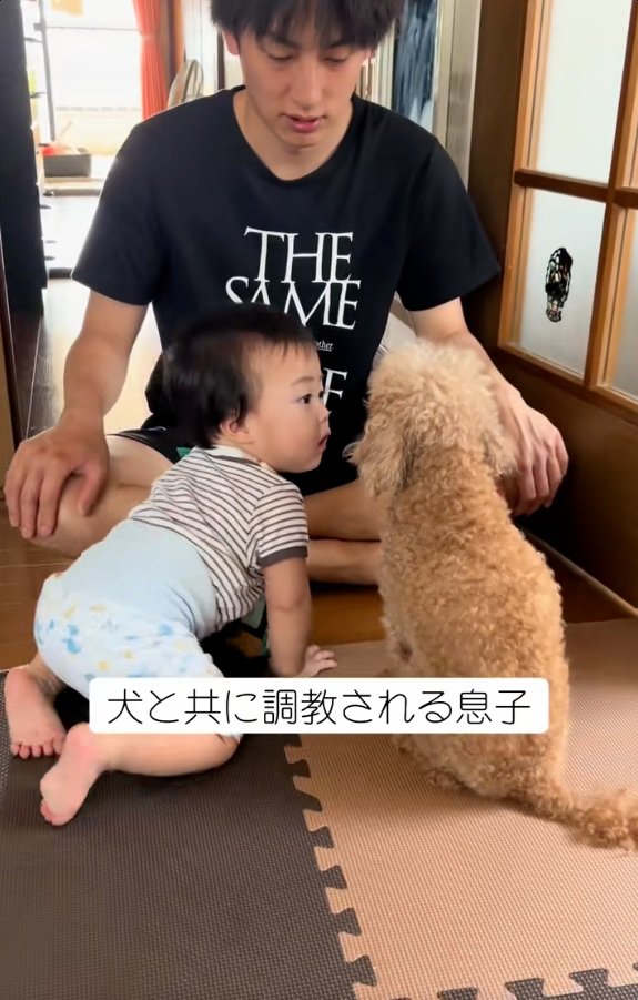 吠えるムーちゃん