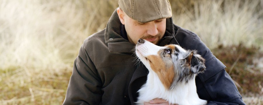 飼い主を見つめて振り返る犬