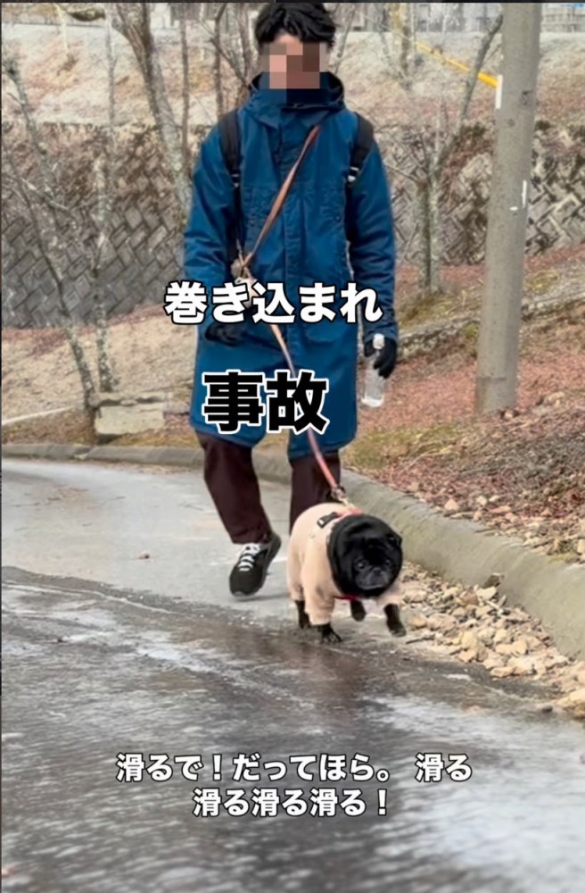 散歩する男性とパグ