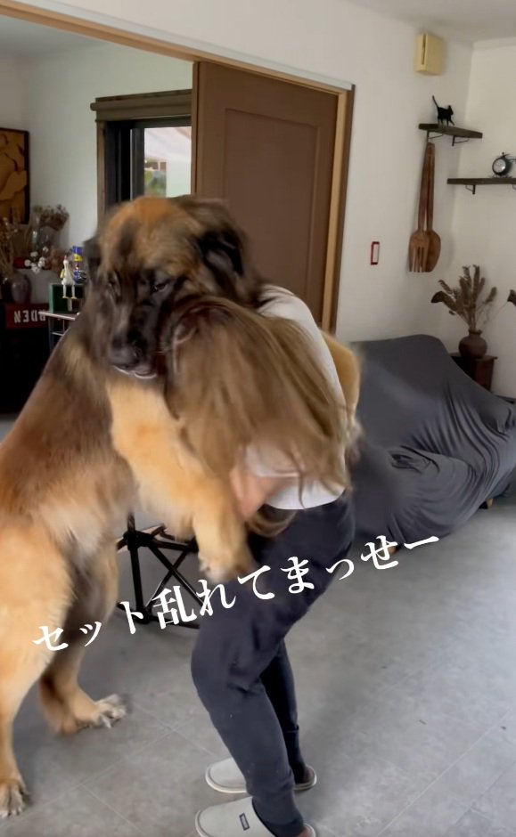 お姉さんに抱きつくレオンベルガー