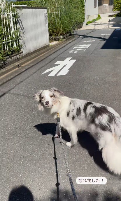 「忘れ物した！」と申告すると…