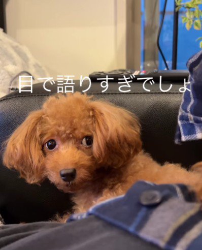 「私もいるんだけど…?」