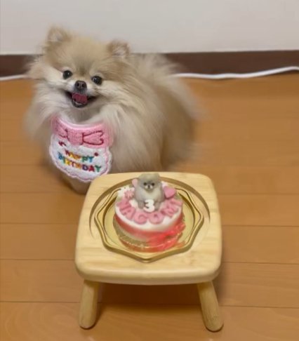 お誕生日