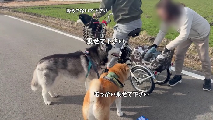 全員が自転車を希望