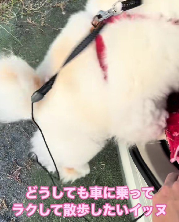 「そんなの絶対イヤ！！」