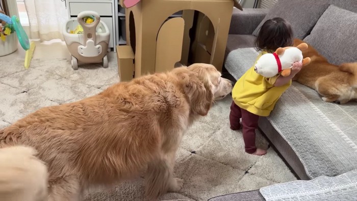 「ほのちゃんに返してあげて！」