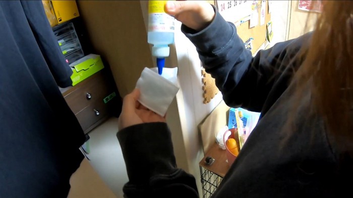 耳掃除を嫌がるきなこちゃん