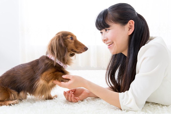 見つめるダックスフンドと笑顔の女性