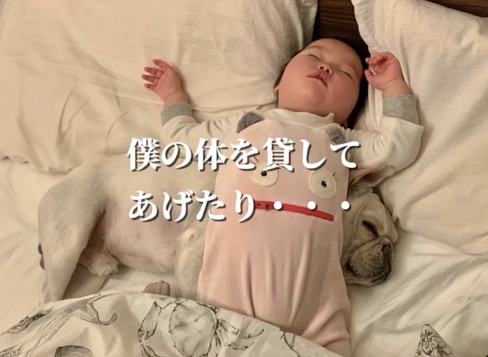 赤ちゃんの下で眠る犬