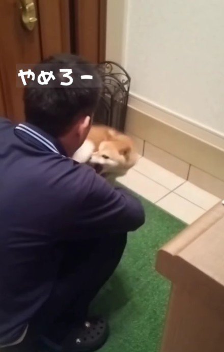 家族を噛んでしまうことも…