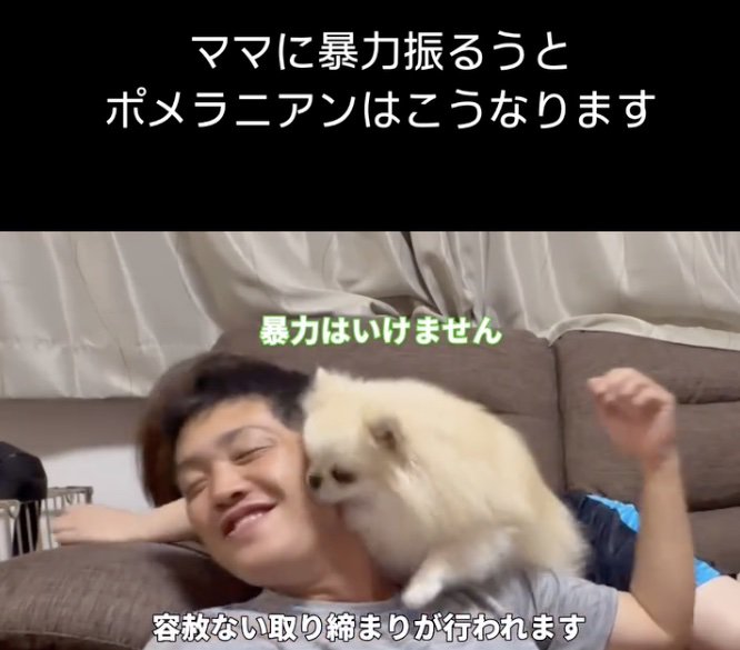 取り締まり中！