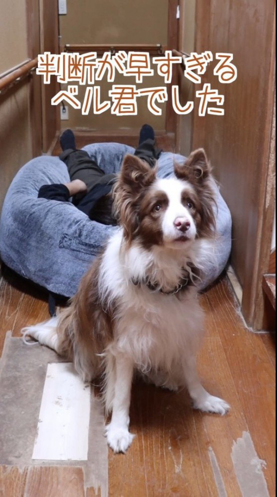 あっという間にドッキリ終了