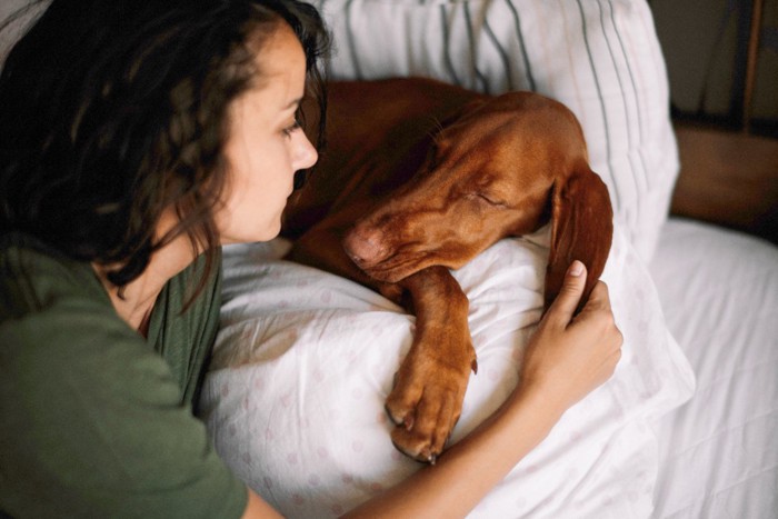 ベッドの上で見つめ合う女性と犬