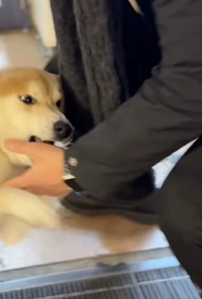 「おかえりぃぃぃ」