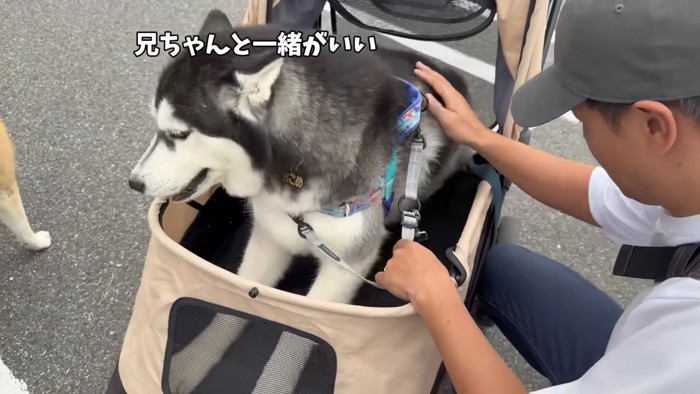 「兄ちゃんと一緒がいい…」