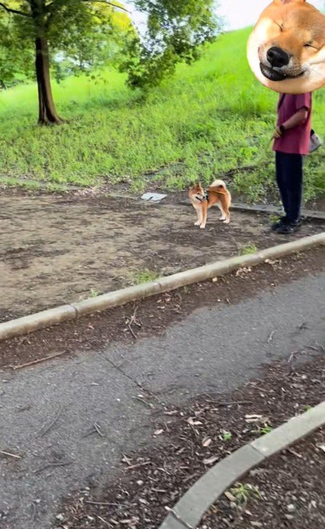 ドッキリに対する福ちゃんの反応3