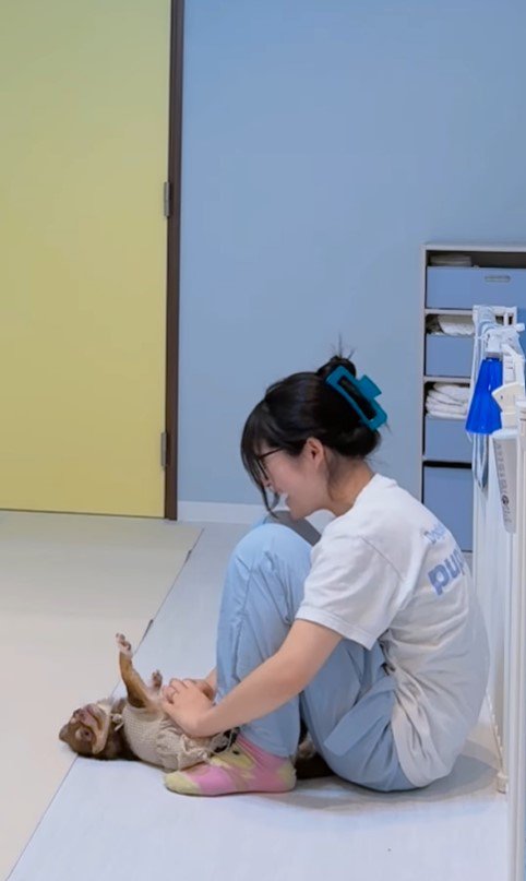 ショコラちゃんと仲良くなるまで9