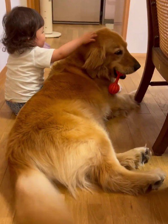 くるりと逆向きに！