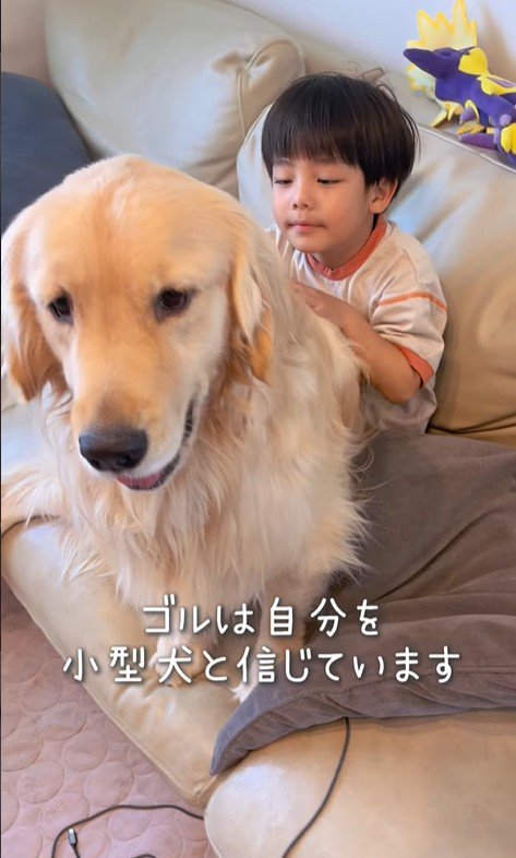 男の子に甘えるエルくん