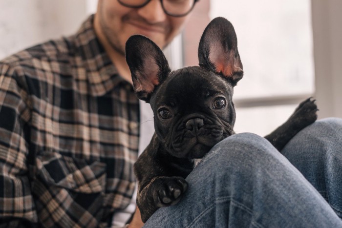 男性に体を預ける犬