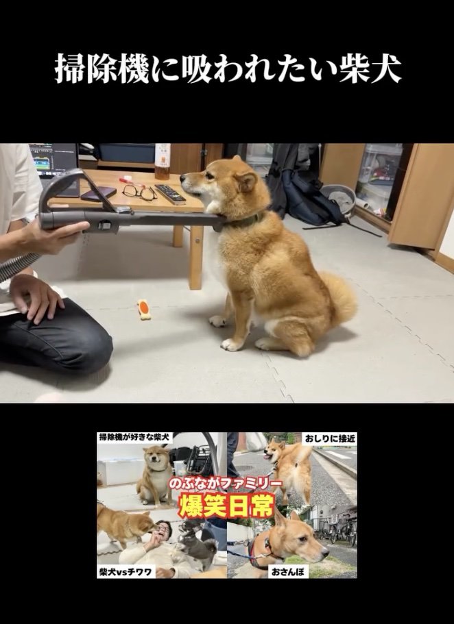 吸われてる…