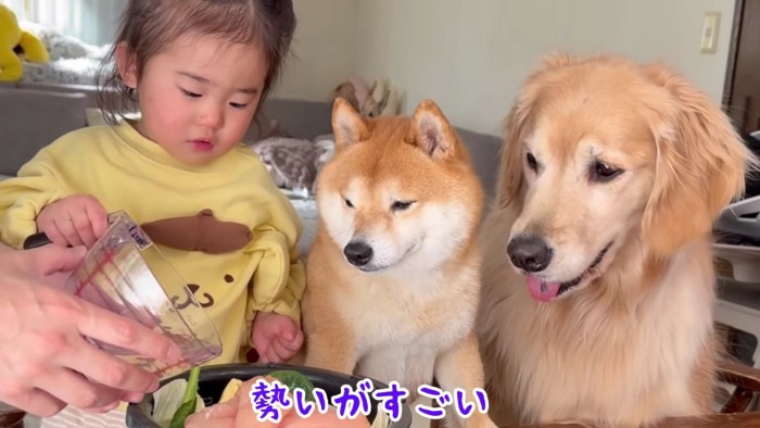 みんな興味津々♪