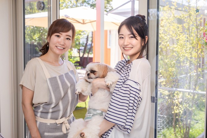 シーズーを抱っこする飼い主とトリマー