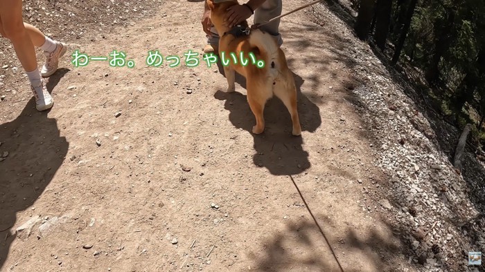 学生さんがナラちゃんをナデナデ…