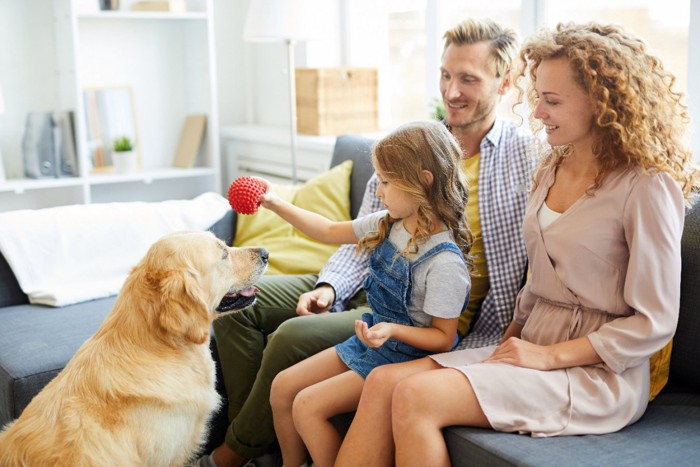 犬とボールを持つ女の子と家族