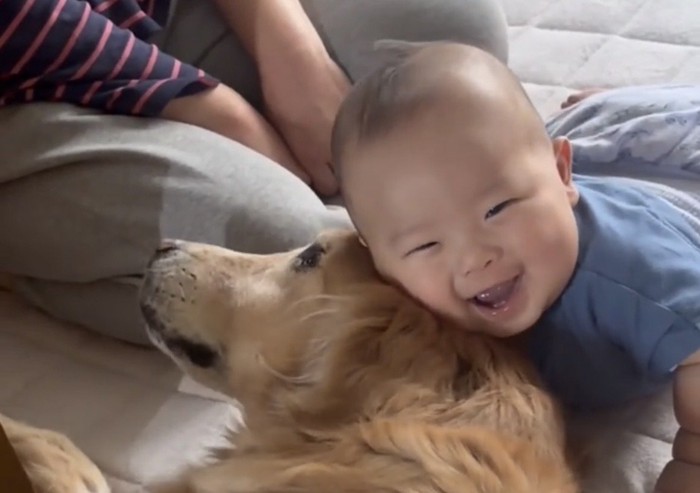 犬に顔を寄せて笑う赤ちゃん