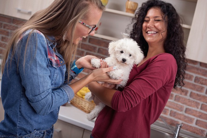 子犬を抱く女性と触る女性