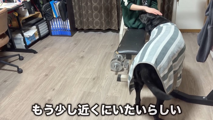 「もっと構って」と自分からそばへ